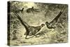 Pheasants Austria 1891-null-Stretched Canvas