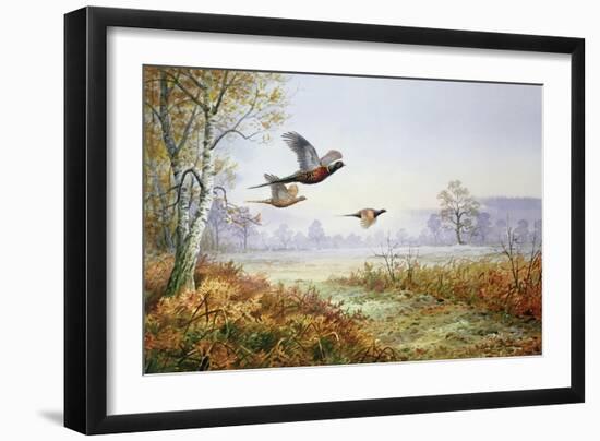 Pheasants in Flight-Carl Donner-Framed Giclee Print