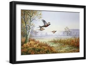 Pheasants in Flight-Carl Donner-Framed Giclee Print