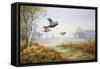 Pheasants in Flight-Carl Donner-Framed Stretched Canvas