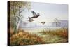 Pheasants in Flight-Carl Donner-Stretched Canvas