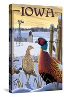 Pheasants - Iowa-Lantern Press-Stretched Canvas