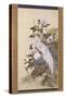 Pheasants, Rock and Flowers-Nakabayashi Chikkei-Stretched Canvas