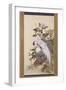 Pheasants, Rock and Flowers-Nakabayashi Chikkei-Framed Giclee Print