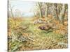 Pheasants with Blue Tits-Carl Donner-Stretched Canvas