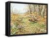 Pheasants with Blue Tits-Carl Donner-Framed Stretched Canvas