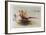 Pheasants-Allan Mardon-Framed Limited Edition