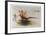 Pheasants-Allan Mardon-Framed Limited Edition