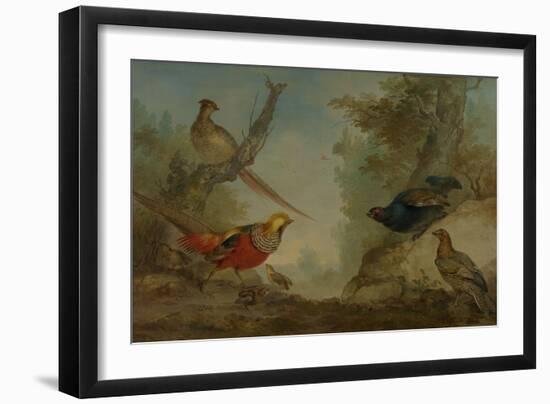 Pheasants-Aert Schouman-Framed Art Print
