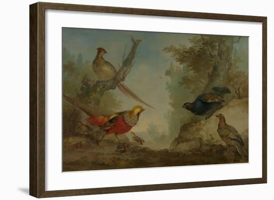 Pheasants-Aert Schouman-Framed Art Print