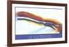 Phenomena Gold Coast-Paul Jenkins-Framed Collectable Print