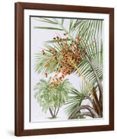 Pheonix Palm-Marion Sheehan-Framed Collectable Print