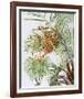 Pheonix Palm-Marion Sheehan-Framed Collectable Print