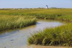 Salt marsh cord grass, Cape Cod, Long Point Lighthouse in the background, Massachusetts-Phil Savoie-Photographic Print