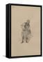 Phil Squod, C.1920s-Joseph Clayton Clarke-Framed Stretched Canvas