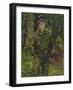 Phil-Susan Ryder-Framed Giclee Print