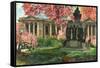 Phila Free Library-Noel Miles-Framed Stretched Canvas