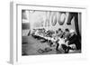 Philadelphia Americans Relax by Sitting Along the Center Field Fence at the Park-null-Framed Art Print