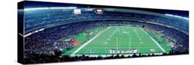 Philadelphia Eagles Football, Veterans Stadium Philadelphia, PA-null-Stretched Canvas