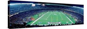 Philadelphia Eagles Football, Veterans Stadium Philadelphia, PA-null-Stretched Canvas