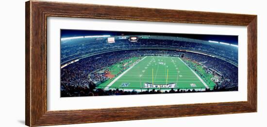 Philadelphia Eagles Football, Veterans Stadium Philadelphia, PA-null-Framed Photographic Print