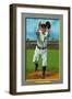 Philadelphia, PA, Philadelphia Phillies, Kitty Bransfield, Baseball Card-Lantern Press-Framed Art Print
