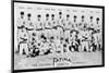 Philadelphia, PA, Philadelphia Phillies, Team Photograph, Baseball Card-Lantern Press-Mounted Art Print