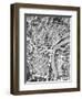 Philadelphia Pennsylvania Street Map-Michael Tompsett-Framed Art Print