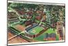 Philadelphia, Pennsylvania - University of Pennsylvania Stadium Aerial-Lantern Press-Mounted Art Print