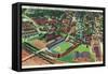 Philadelphia, Pennsylvania - University of Pennsylvania Stadium Aerial-Lantern Press-Framed Stretched Canvas