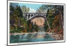 Philadelphia, Pennsylvania - Walnut Lane Bridge over Wissahickon River-Lantern Press-Mounted Art Print