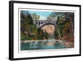 Philadelphia, Pennsylvania - Walnut Lane Bridge over Wissahickon River-Lantern Press-Framed Art Print