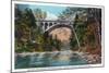 Philadelphia, Pennsylvania - Walnut Lane Bridge over Wissahickon River-Lantern Press-Mounted Art Print