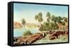 Philae on the Nile-Edward Lear-Framed Stretched Canvas