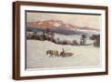 Brown Frame