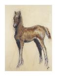 The Foal-Philip Blacker-Premium Giclee Print