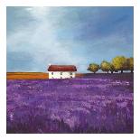 Field of Lavender (Right Detail)-Philip Bloom-Art Print