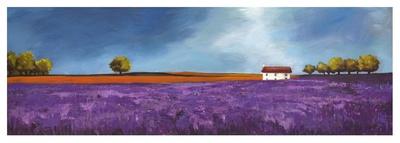 Field of Lavender (Right Detail)-Philip Bloom-Art Print