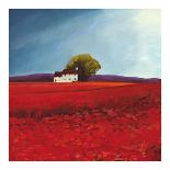 Field of poppies-Philip Bloom-Art Print