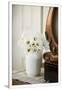 Gramercy White