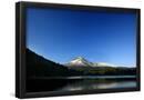 Essential Black