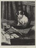 Left in Charge - a Black Pomerain on the Steps of a Bathing Machine-Philip Eustace Stretton-Giclee Print