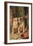 Brown Frame