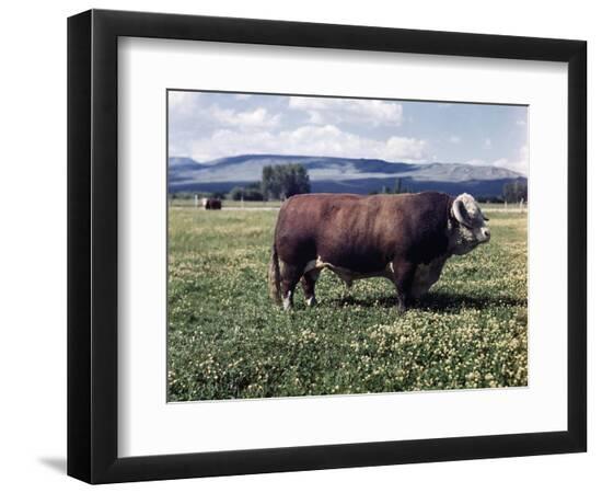 Premium Photographic Print, , large