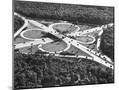 Wood Mount