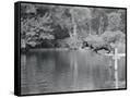 Canvas Black