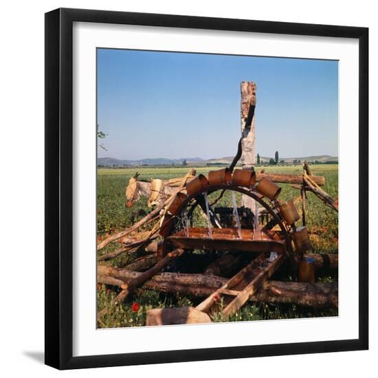 Photographic Print, , large