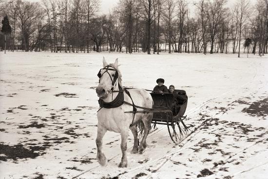Photographic Print, , large