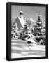 Essential Black