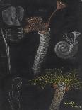 Anemones and Stalked Jellyfish-Philip Henry Gosse-Giclee Print
